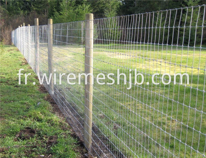 Cattle Fence Net